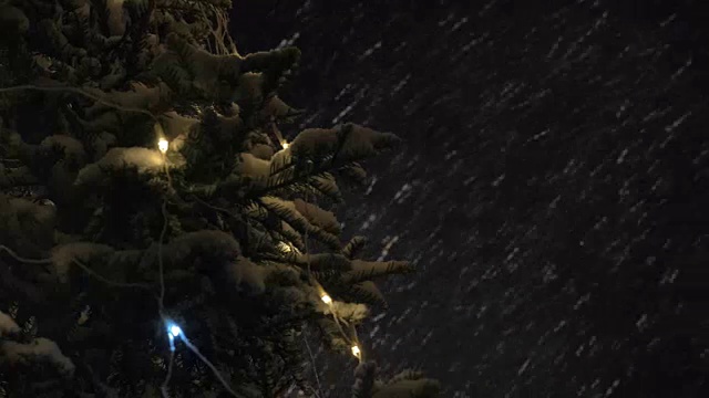 暴风雪和圣诞树的夜晚视频素材画面2