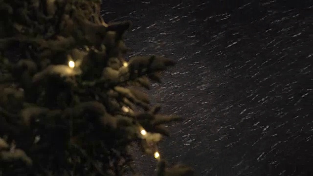暴风雪和圣诞树的夜晚视频素材画面3
