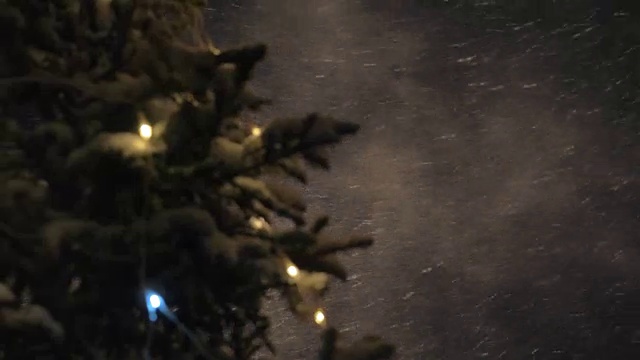 暴风雪和圣诞树的夜晚视频素材画面4