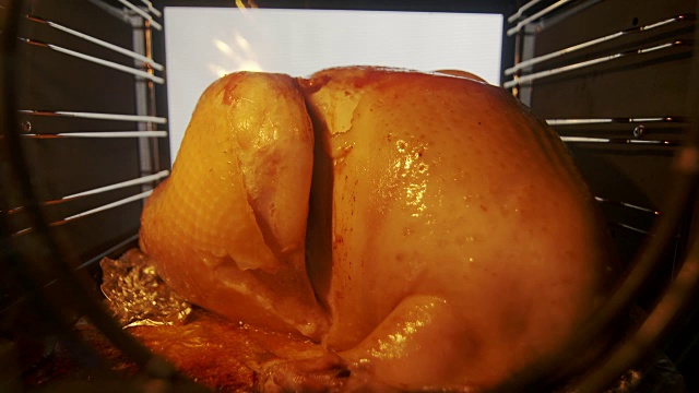 烤炉内烤着整只大火鸡视频素材画面3
