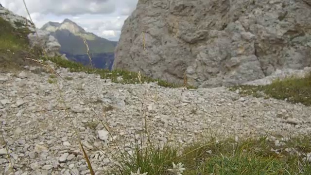 跟踪射击雪绒花双点，白云石视频素材