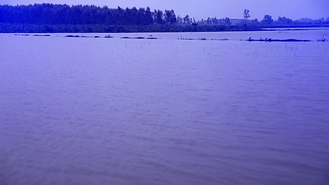 雨季的湖泊风景视频素材