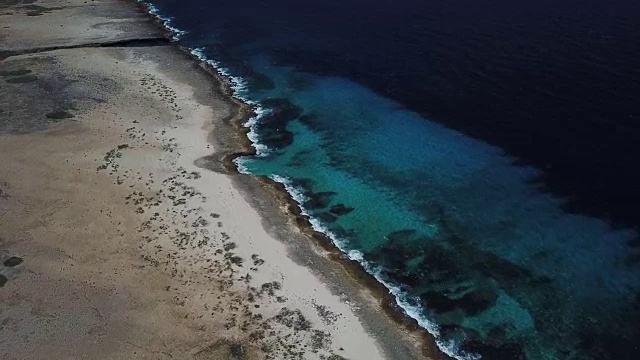 博内尔岛加勒比海岸泻湖视频视频素材