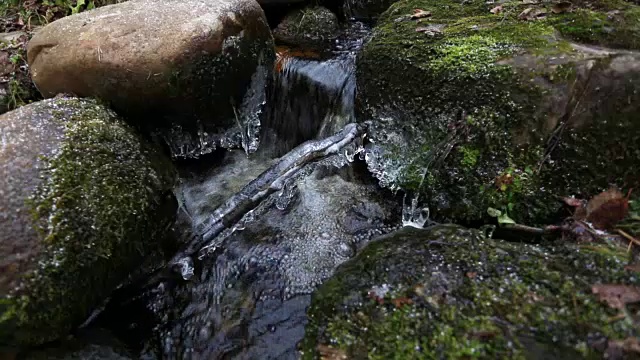 俄国卡累利阿，碧石间流水视频素材