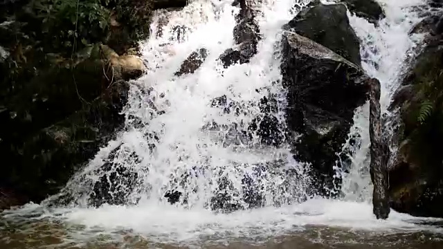 雨林中的瀑布溪流慢镜头，自然画面背景视频素材