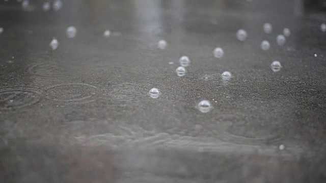 雨滴视频素材