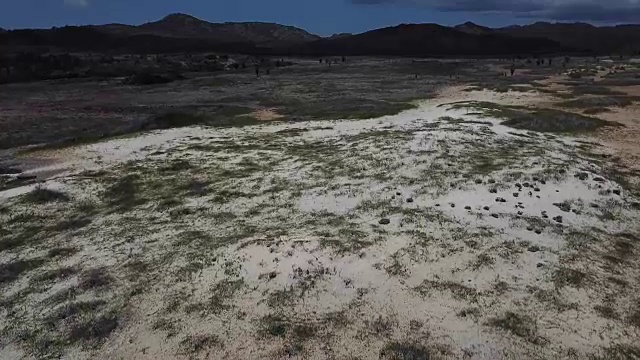 博内尔岛加勒比海岸泻湖视频视频素材