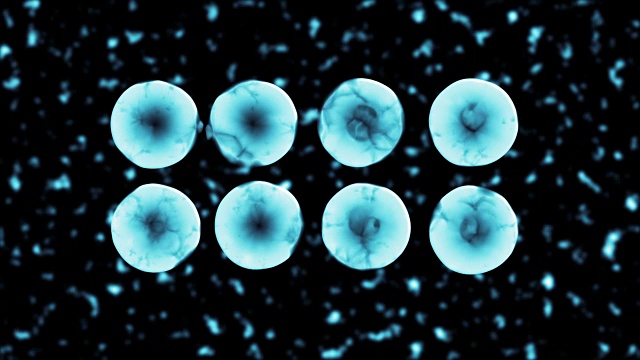 二进制裂变透明细胞分裂3D蓝色运动图形视频视频素材