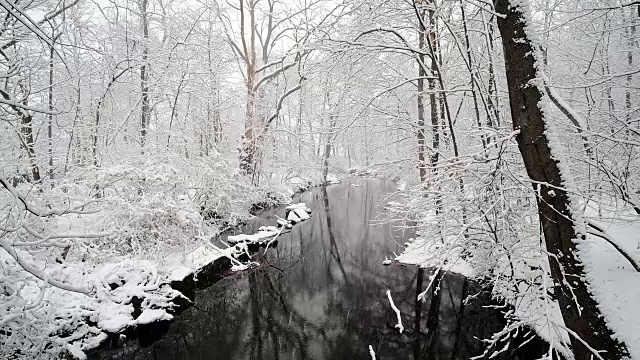 雪覆盖了树木和河流视频素材