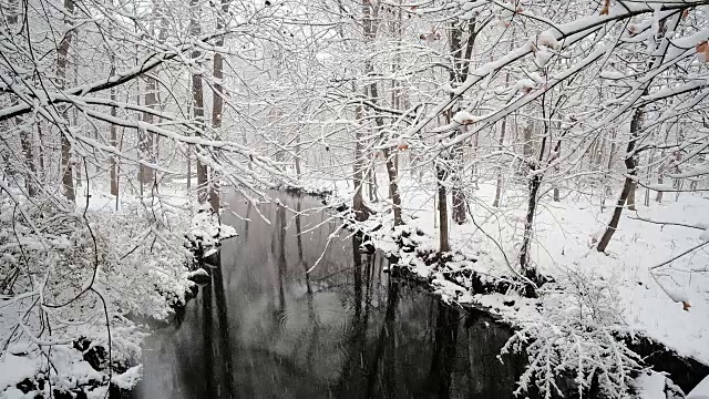 雪覆盖了树木和河流视频素材