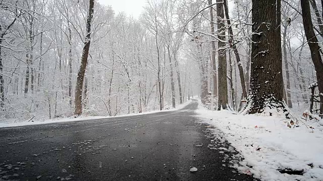 雪覆盖了树木和道路视频素材