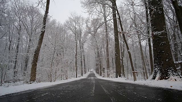 雪覆盖了树木和道路视频素材