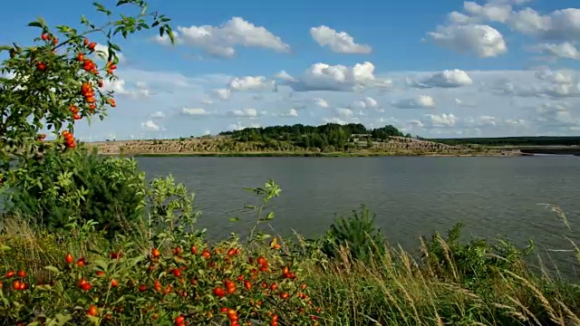 施拉布多夫湖，卢萨蒂亚秋天的风景视频素材