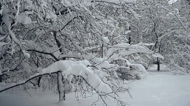 冬天。城市被雪覆盖着视频素材