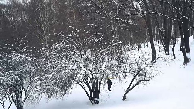 冬天。城市被雪覆盖着视频素材