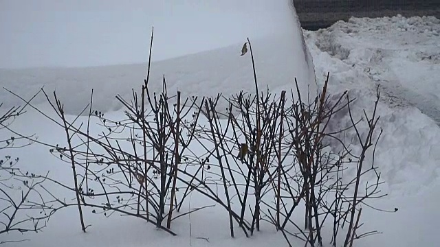 冬天。城市被雪覆盖着视频素材