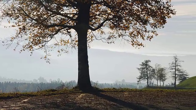 风景如画的瑞士高山和天空视频素材