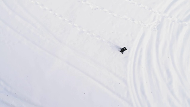 从空中俯瞰冬天穿着雪鞋在白雪覆盖的田野上行走的人。欧洲阿尔卑斯山户外自然景观雪山。4k无人机飞行直线向下的视角视频素材画面2