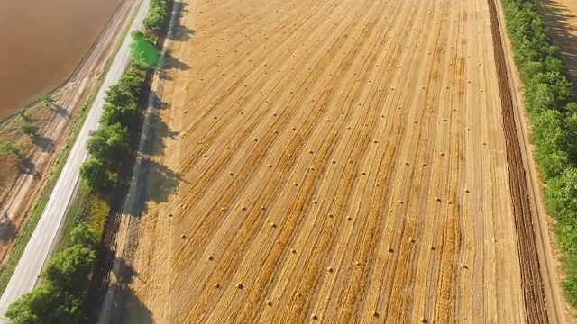 天线:秋天收获后的农田视频素材画面2