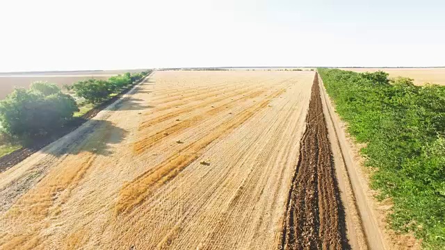 晴空下的农田风景视频素材画面1