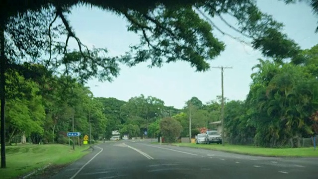 中等拍摄的树在街道上视频素材画面1