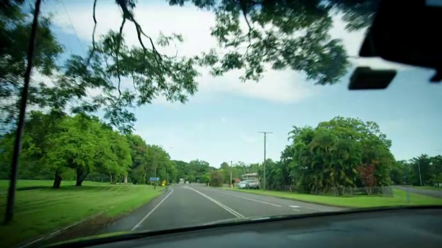 中等拍摄的树在街道上视频素材画面2