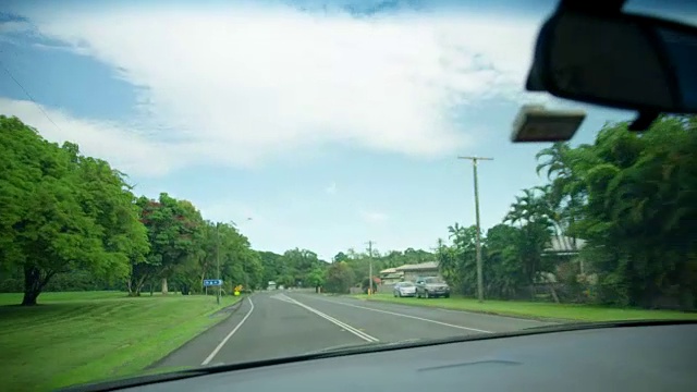 中等拍摄的树在街道上视频素材画面3
