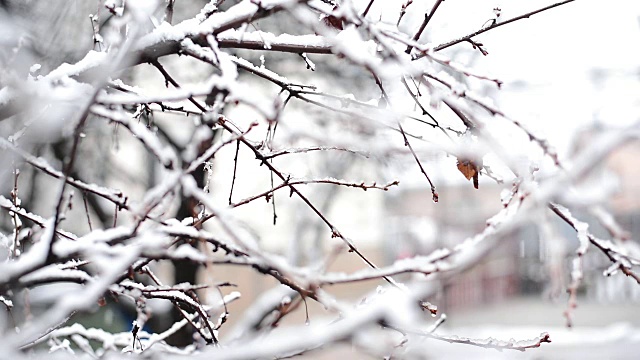 村子里下雪了。视频素材