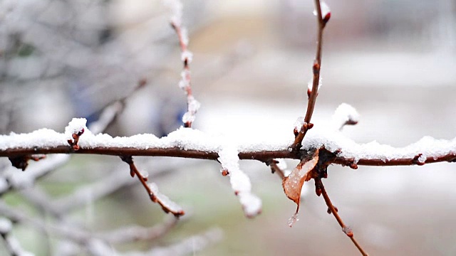 村子里下雪了。视频素材