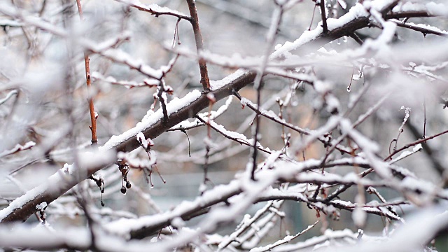 村子里下雪了。视频素材