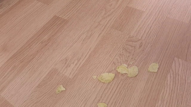 在食物垃圾附近拖地视频素材画面4
