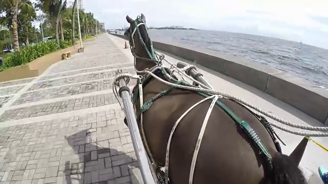 教练马马车视频素材画面2
