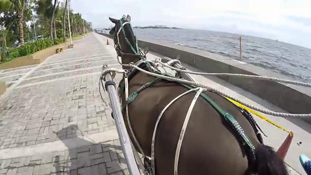 教练马马车视频素材画面4