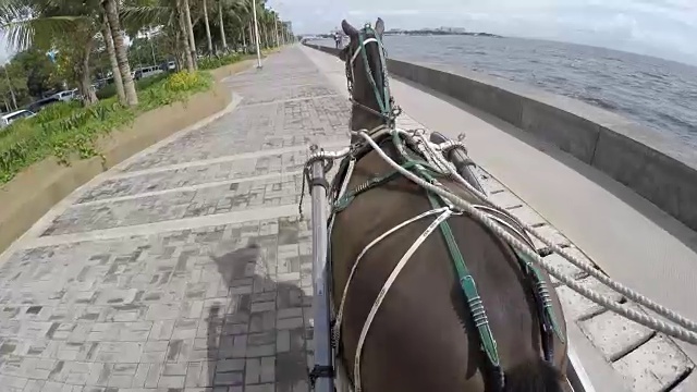 教练马马车视频素材画面1