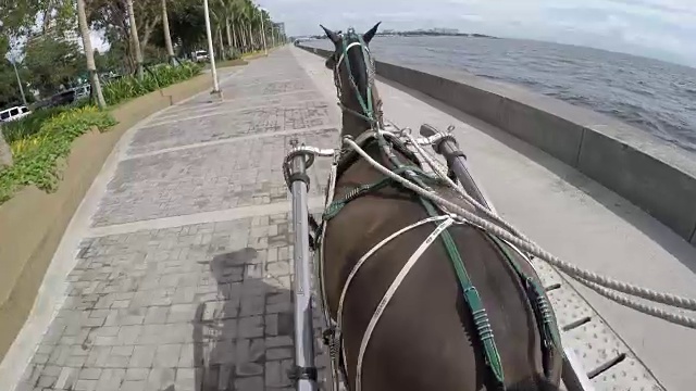 教练马马车视频素材画面3