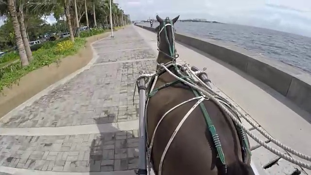 教练马马车视频素材画面4