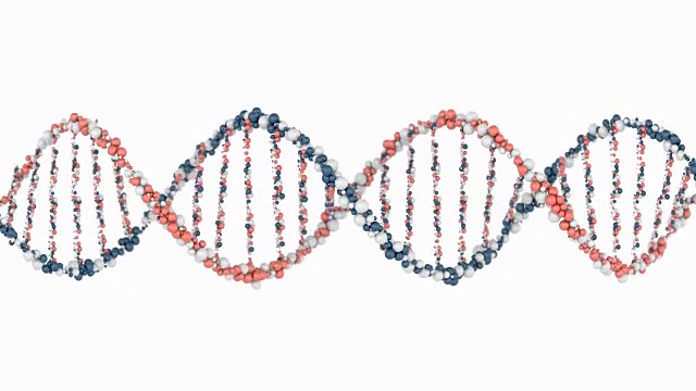 动画DNA链模型。三维渲染视频下载