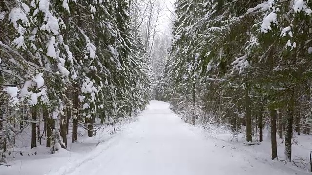 走在冬日雪地里的小路上视频素材