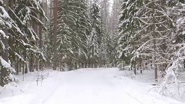 走在冬日雪地里的小路上视频素材