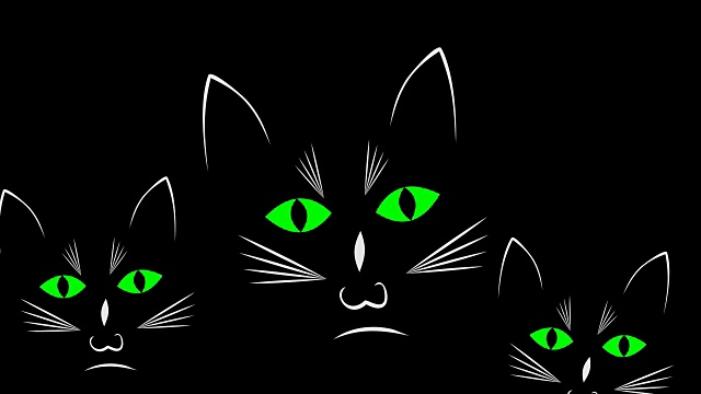 黑暗动画中的三只好奇的黑猫视频素材画面1