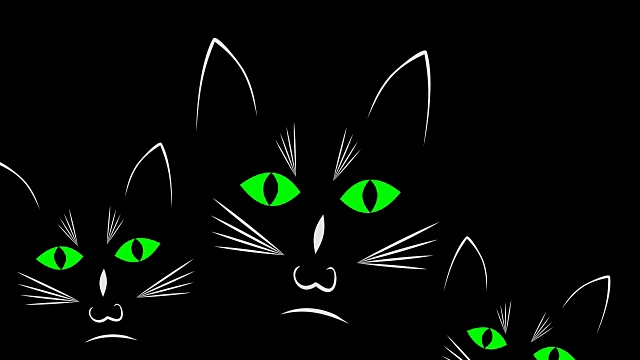 黑暗动画中的三只好奇的黑猫视频素材画面2