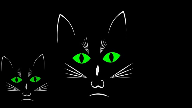 黑暗动画中的三只好奇的黑猫视频素材画面3