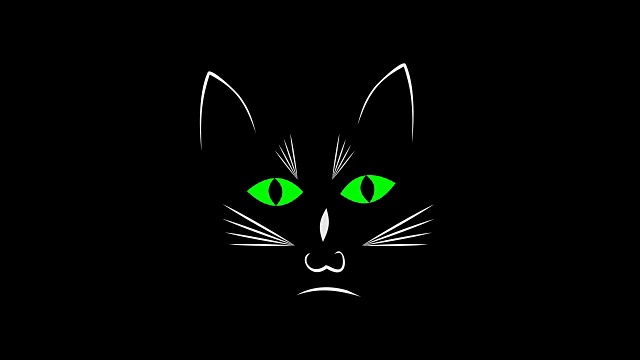黑暗动画中的三只好奇的黑猫视频素材画面4