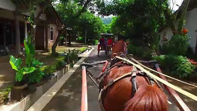 从印度尼西亚的爪哇骑着马车穿过乡村视频素材画面2