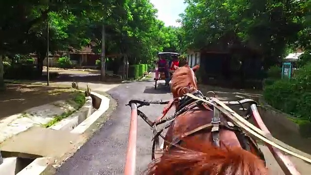 从印度尼西亚的爪哇骑着马车穿过乡村视频素材画面3