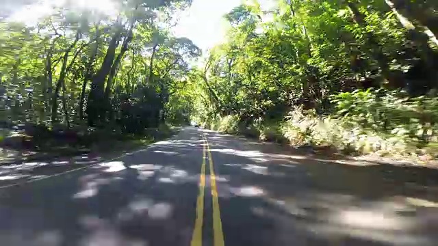 司机在夏威夷群岛的观点视频素材