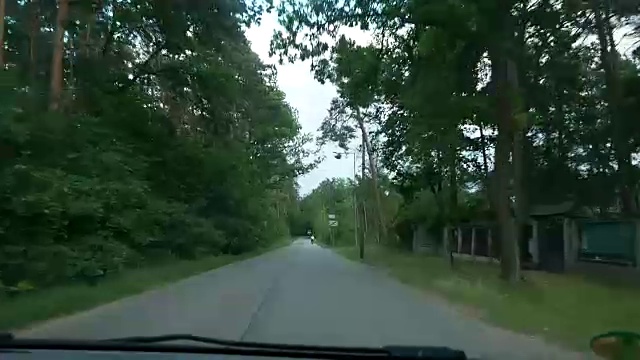 从移动的汽车上看森林。视频素材画面1