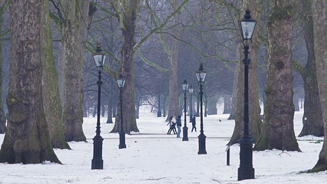 伦敦，威斯敏斯特，格林公园的雪。视频素材