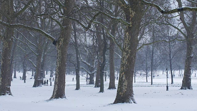 绿色公园的雪视频素材