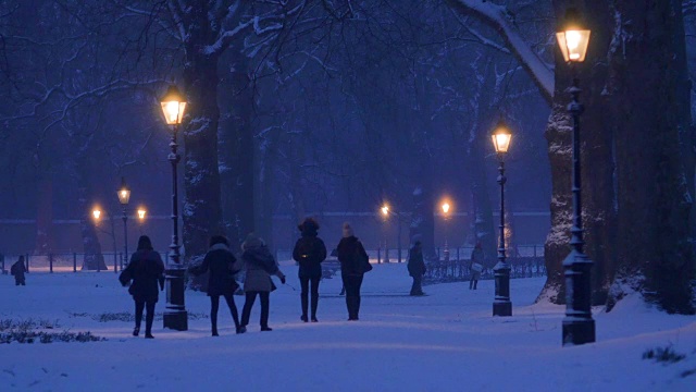 伦敦格林公园的雪夜。视频素材